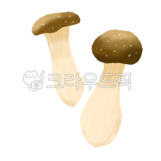 mushroom hand drawing,mushroom picture,Matsutake,mushroom,mushroom illustration