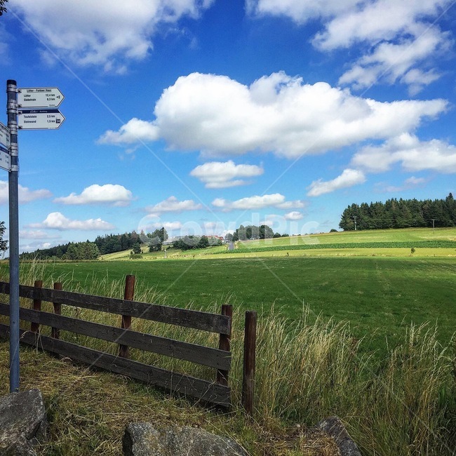자연,경치,식물,나무,하늘,구름,날씨,nature,landscape,plant,tree,sky,cloud,weather,outdoors,옥외,field,들,grassland,목초지,독일,풀다,germany,fulda
