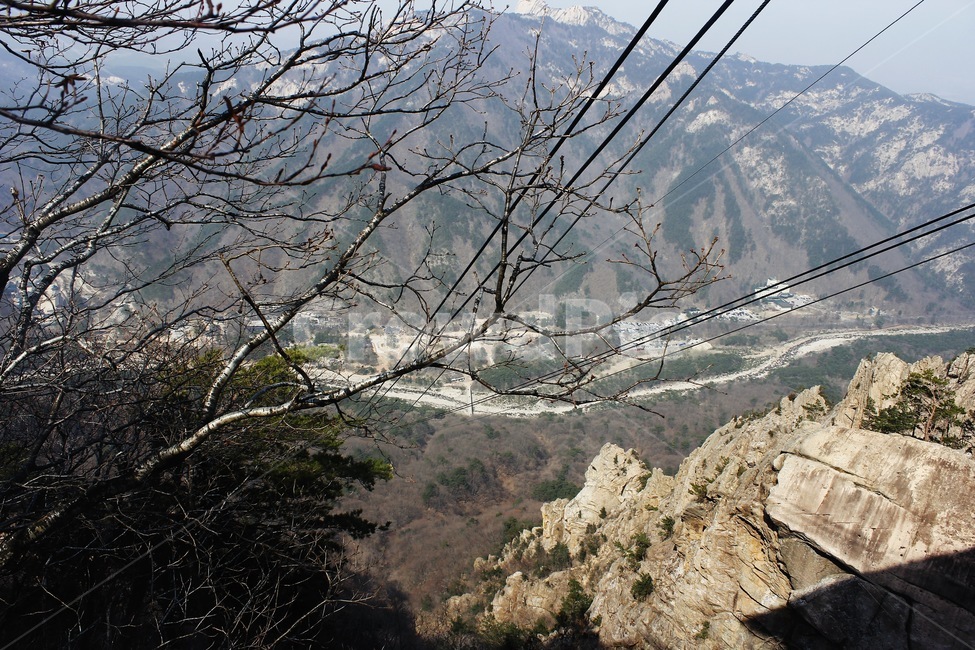 산,나무,나뭇가지,케이블카,케이블,한국산,자연,풍경,nature,landscape