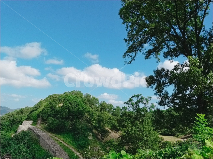 산성,나무,tree,초록,성,삼년산성,하늘,sky,구름,outdoors,옥외,nature,자연,field,들,파랑,파란색,돌,회색