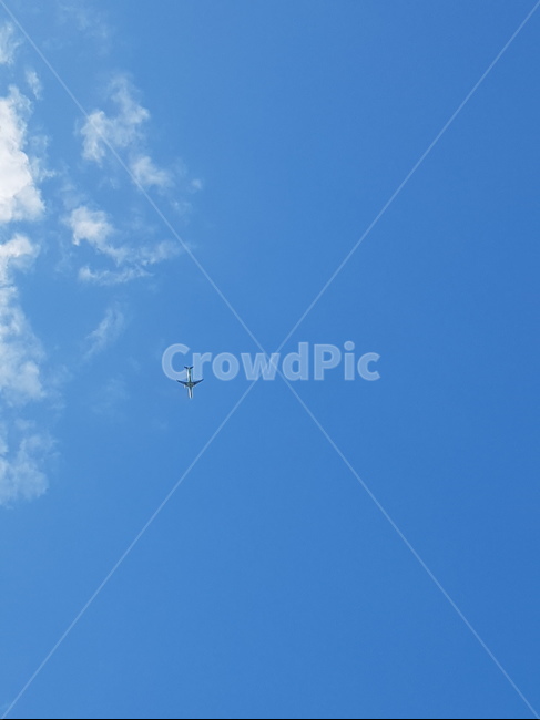 구름,하늘,sky,blue,비행기,airplane,fly,flying,창공,bluesky,clouds,자연,풍경,nature,landscape,adventure,모험,leisure activities,레저 활동,animal,동물,나는,bird,새