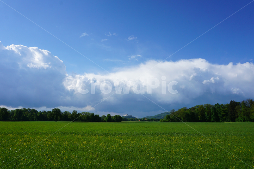 nature,자연,outdoors,옥외,들,field,목초지,grassland,자연,풍경,nature,landscape