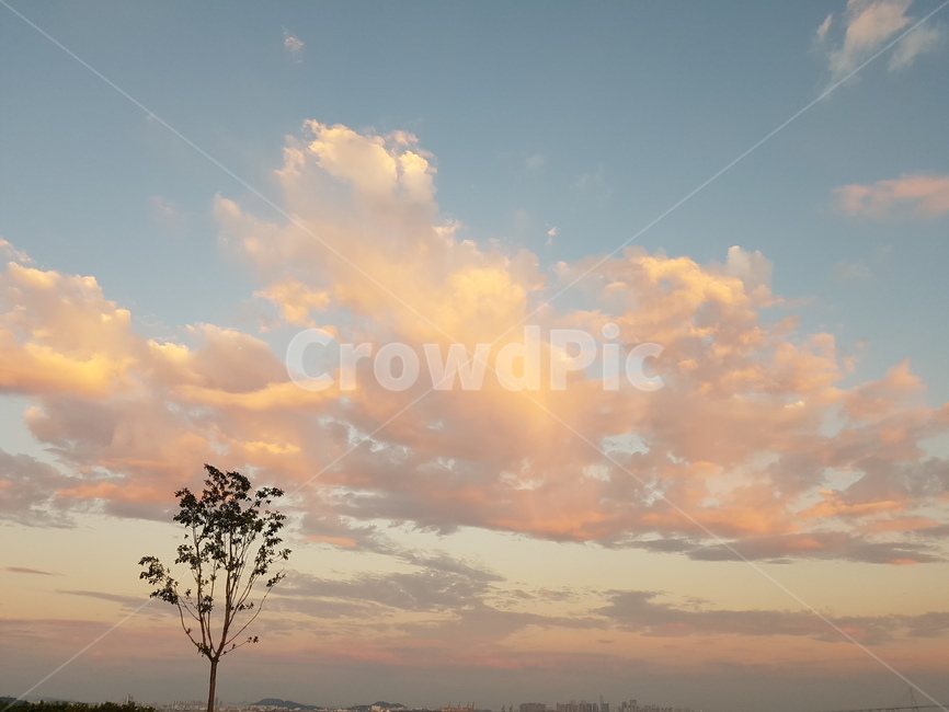 하늘,하얀구름,자연,풍경,창공,자연,풍경,nature,landscape,outdoors,옥외,sky