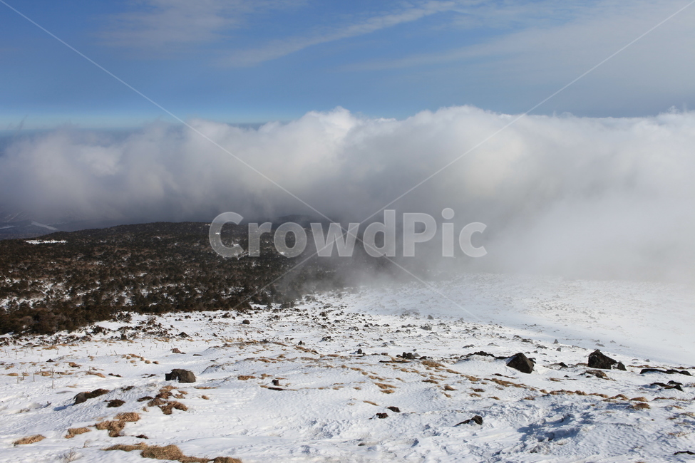 한라산,겨울,눈,자연,풍경,국립공원,겨울,계절,winter,season,자연,풍경,nature,landscape,outdoors,옥외,mountain,산
