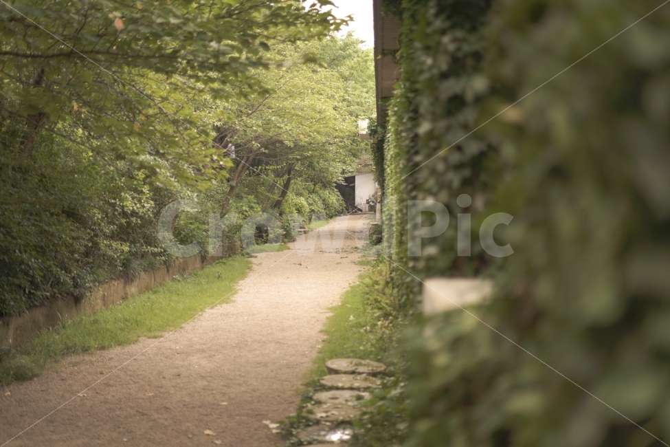 자연,시골,식물,길,스냅샷,자연,풍경,nature,landscape,시골,마을,country,rural,town,outdoors,옥외,garden,정원,arbour,정자,path,통로