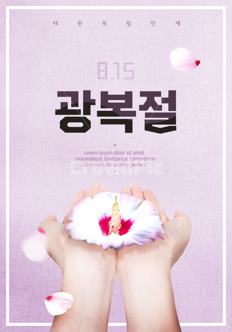 무궁화,핸드모션,손,기념일,광복절,815,국경일,꽃,flower,기념일,축하,anniversary,congratulation,celebrate,celebration,그래픽,일러스트레이션,graphic,illustration