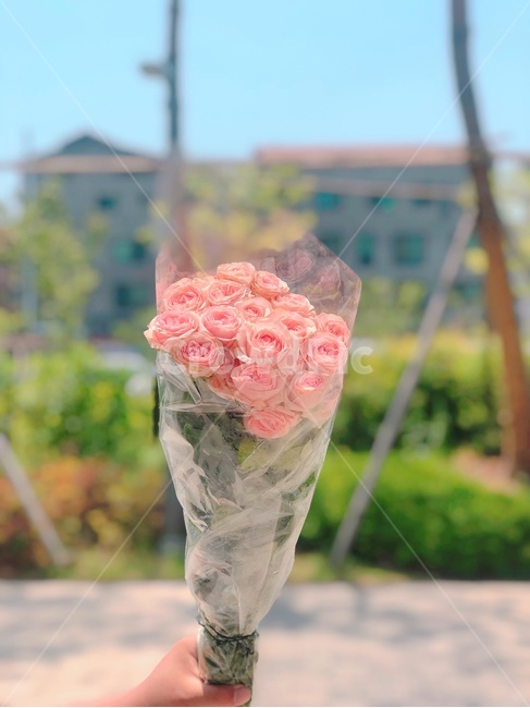 꽃다발,장미,분홍장미,프로포즈,선물,rose,꽃,flower,기념일,축하,anniversary,congratulation,celebrate,celebration