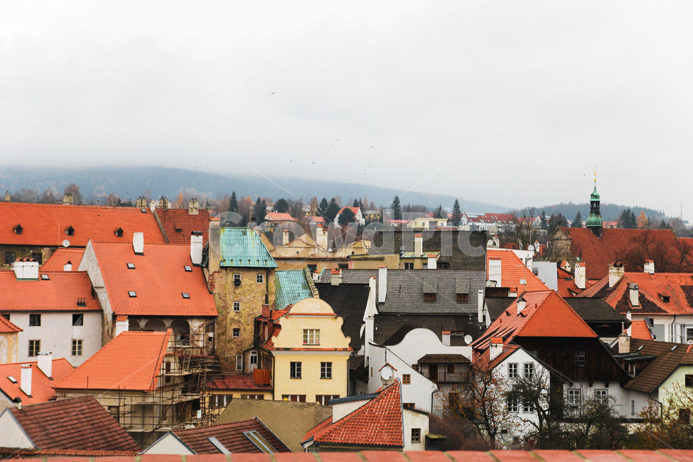 체코,프라하,유럽,마을,praha,prague,집,나무,cityscape,체스키,체스키크로믈로프,동유럽,주택가,여행,프라하풍경,해질녘,유럽사진,프라하성,겨울,계절,winter,season,도시,city,landscape,랜드마크,landmark,tourist,attraction,해외,외국,세계,foreign,oversea,world,도시풍경,해외도시풍경,외국도시풍경,세계랜드마크,해외랜드마크,외국랜드마,크worldlandmark,worldtourist,감성,sensible,feeling,색깔,색상,색채,색감,colo,rsense,color,sensitivity,feelingofcolo,주택,유럽여행,동유럽여행,여행지,관광,관광지,지붕,올드타운,중세,아름다운,동화마을,동화,붉은,주황색,구시가지,붉은지붕,여행사진,sense,colorsensitivity,feelingofcoloroutdoors,옥외,경치,nature,자연,roofscenery,도시,풍경,city,landscape,해외,외국,세계,foreign,oversea,world,세계도시풍경,해외도시풍경,외국도시풍경,world cityscape,roof,지붕