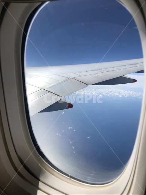 여행,경치,낮,여유,날개,하늘,항공사진,항공샷,뒷모습,창문,window,porthole,현창,태평양,상공