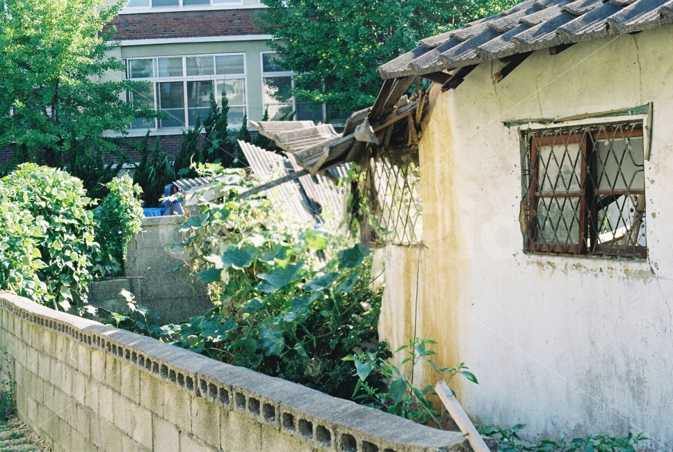 	옛날,동네,대전,집,주택,대동,골목길,그림자,필름,필카,감성,시골,마을,풍경,landscape,country,rural,town