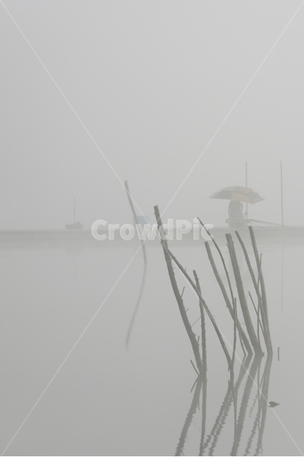 nature,자연,저수지,낚시,새벽안개,문광