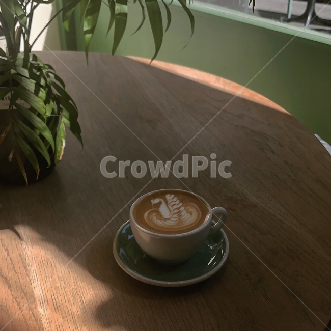라떼,카페라떼,라떼아트,감성카페,카페,커피,플랫화이트,커피,카페,coffee,cafe