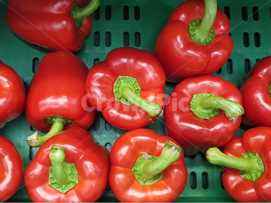 피망,빨간,야채,채소,파프리카,붉은,신선한,시장,마트,식재료,건강한,비타민,깨끗한,배경,이미지,패턴,음식,식재료,요리,food,cook,meal,dishes,food reserves,채소,야채,vegetables