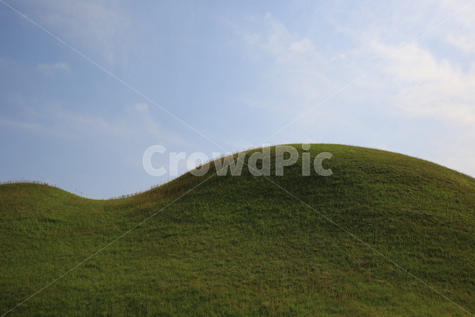 field,들,grassland,잔디,왕릉,언덕,자연,풍경,nature,landscape,outdoors,옥외,목초지