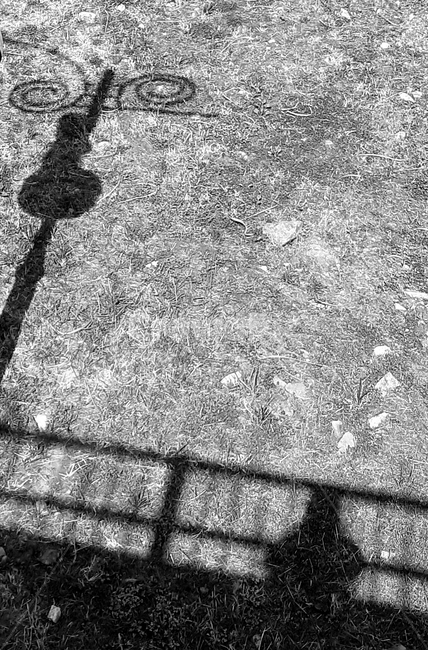 흑백,그림자,쓸쓸,가로등,풀,흑백,모노톤,monochrome,black and white