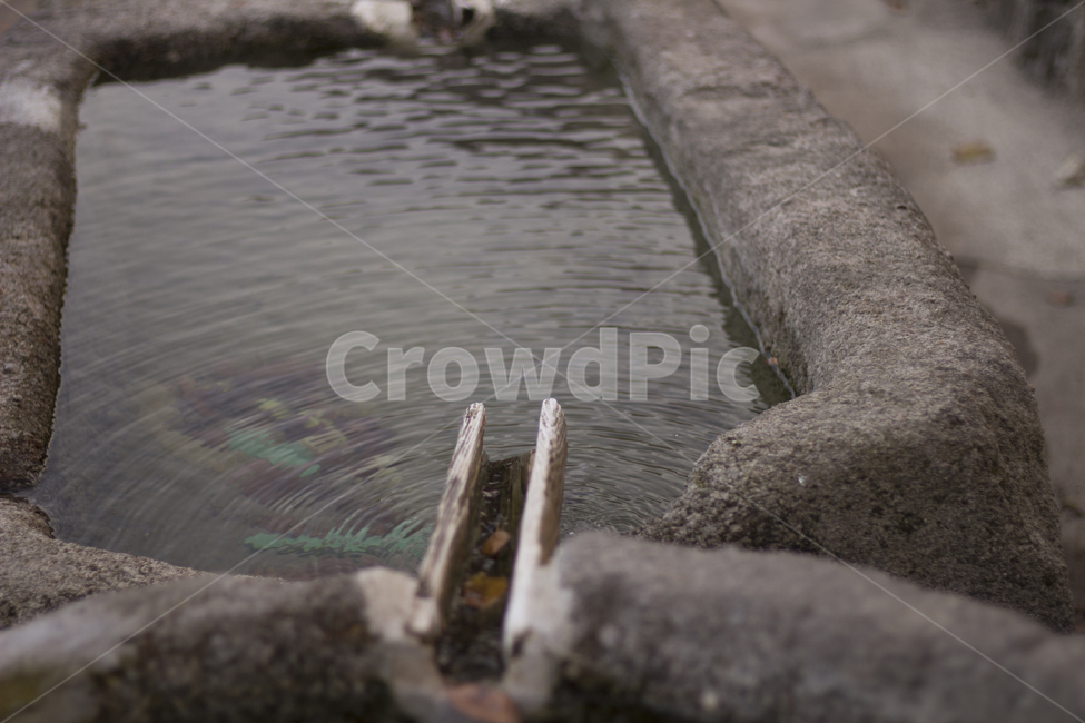 물,식수,약수터,우물,자연,건강,돌,고전,시원함,자연,풍경,nature,landscape,water,outdoors,옥외