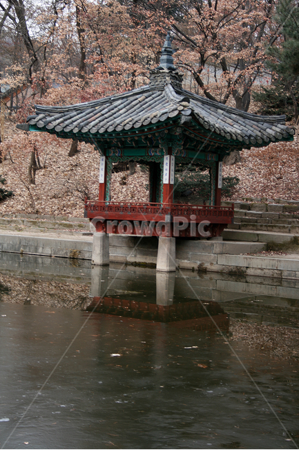창덕궁,후원,애련정,세계문화유산,문화유산,한국,한국전통,한국문화,korean traditional,korean culture,랜드마크,landmark,tourist attraction,한국랜드마크,한국관광지,한국명소,korea landmark,korea tourist attraction