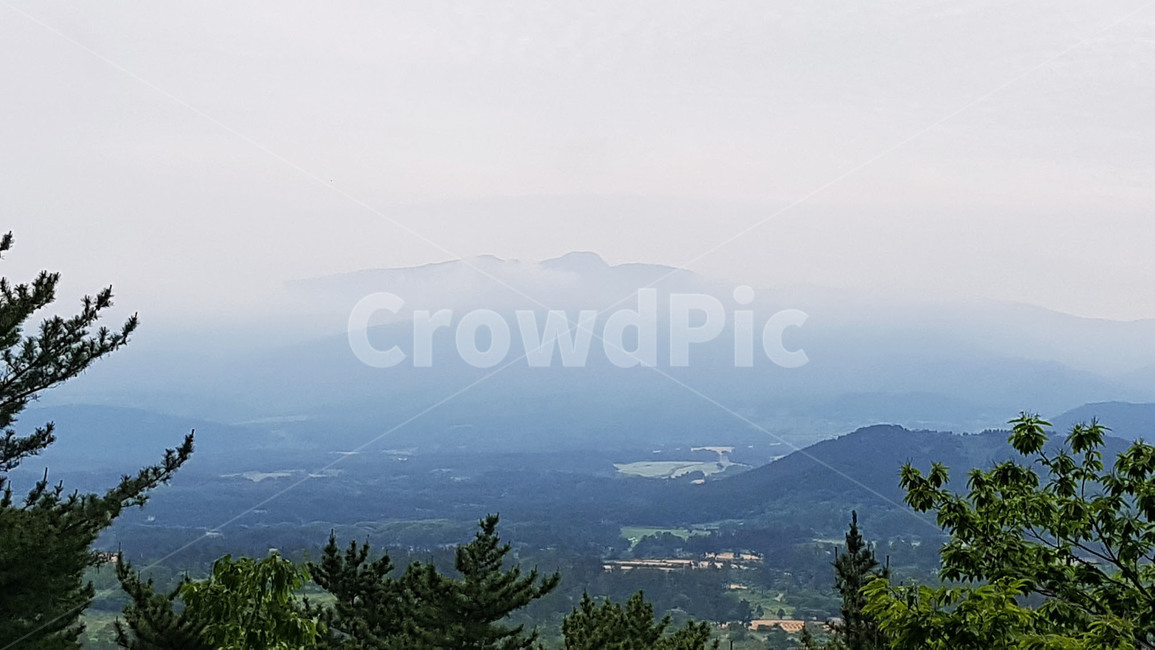 수목원,오름,자연,풍경,한라산,자연,풍경,nature,landscape,tree,나무,plant,식물,fir,전나무