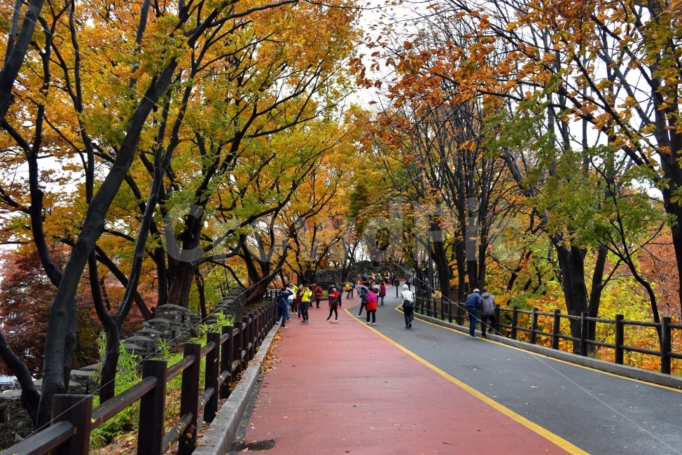남산,가을,단풍,풍경,고궁,서울,낙엽,도심지,명소,자연,비경,단풍나무,가을색,가을색채,오색,자연,풍경,nature,landscape,가을,계절,fall,autumn,season,사람,인물,인간,human,person,banister,난간,handrail,railing