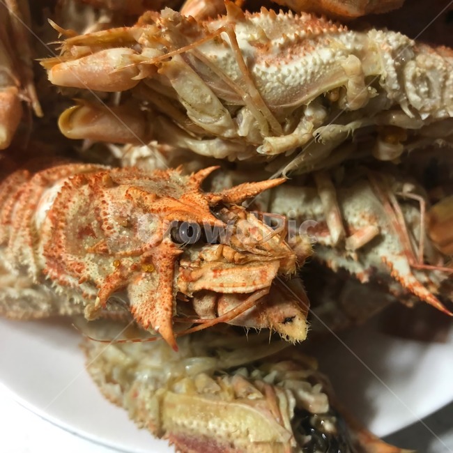 음식,새우,곰새우,seafood,shrimp