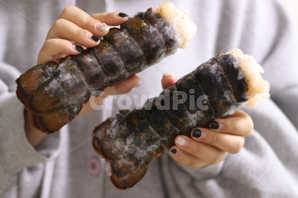 랍스타,해산물,랍스터,바닷가재,바다가재,로브스터,찜요리,요리,음식,해물,음식,식재료,요리,food,cook,meal,dishes,food reserves