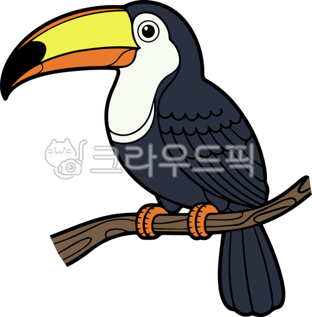 큰부리,새,조류,bird,toucan,왕부리,왕부리새,큰부리새,일러스트,컬러,투칸,열대우림,왕부리새과,동물,animal,포유류,mammal,토코투칸,toco,tocotoucan