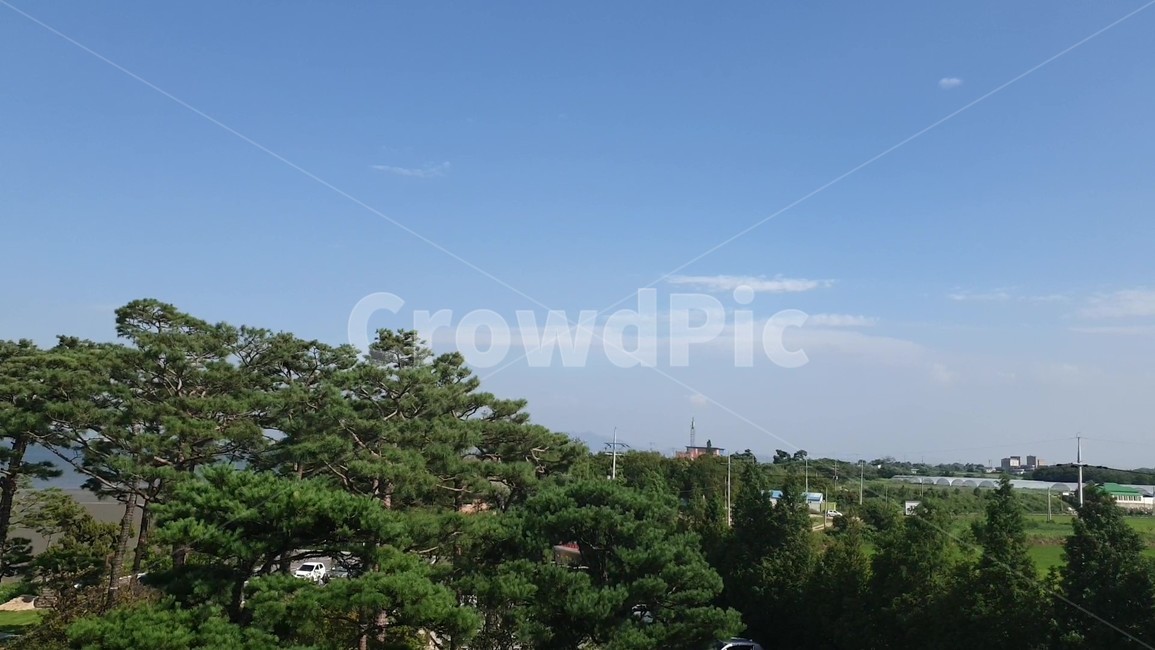 tree,나무,조경,식물,하늘,자연,풍경,nature,landscape,식물,plants,나무,trees,wood,plant