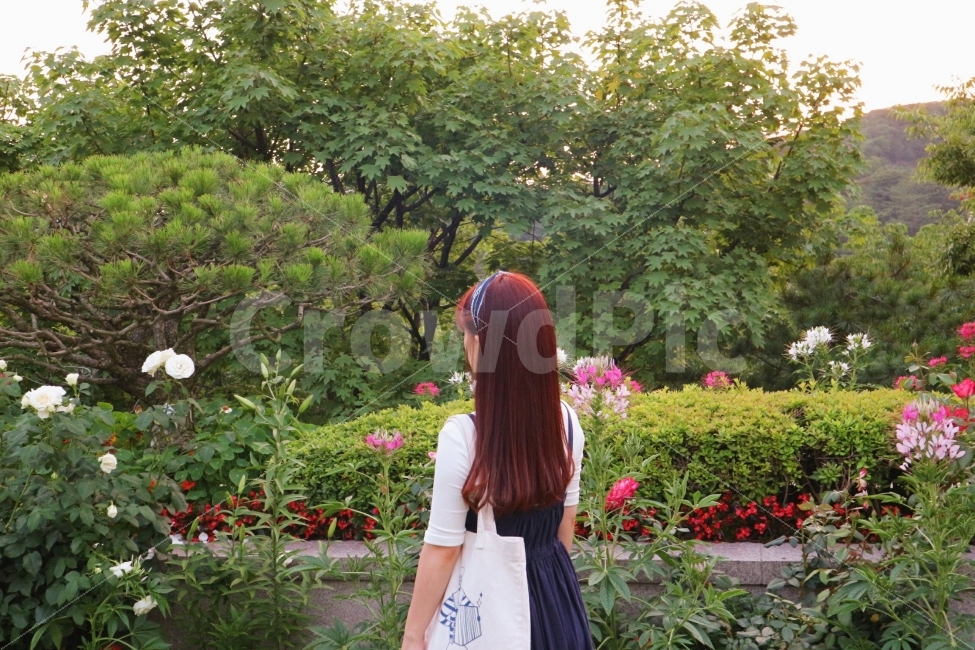 자연,감성,삼청동,뒷모습,인물,여자,서울,노을,꽃,식물,자연,plants,nature,꽃,flower,사람,인물,인간,human,person,여성,여자,woman,female,lady