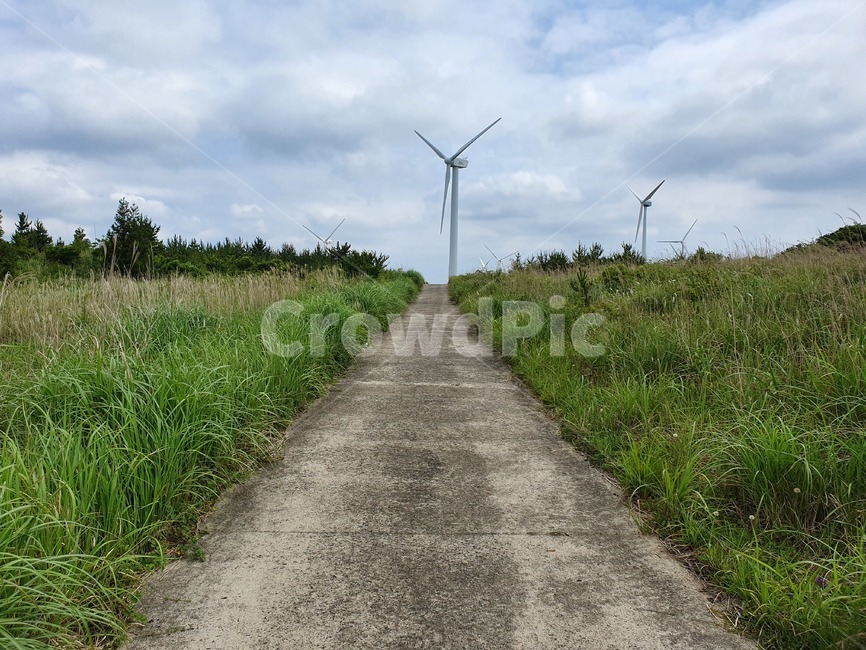 여름제주,제주도,산책길,힐링,자연,에너지산업,energy industry,motor,모터,engine,엔진,machine,기계