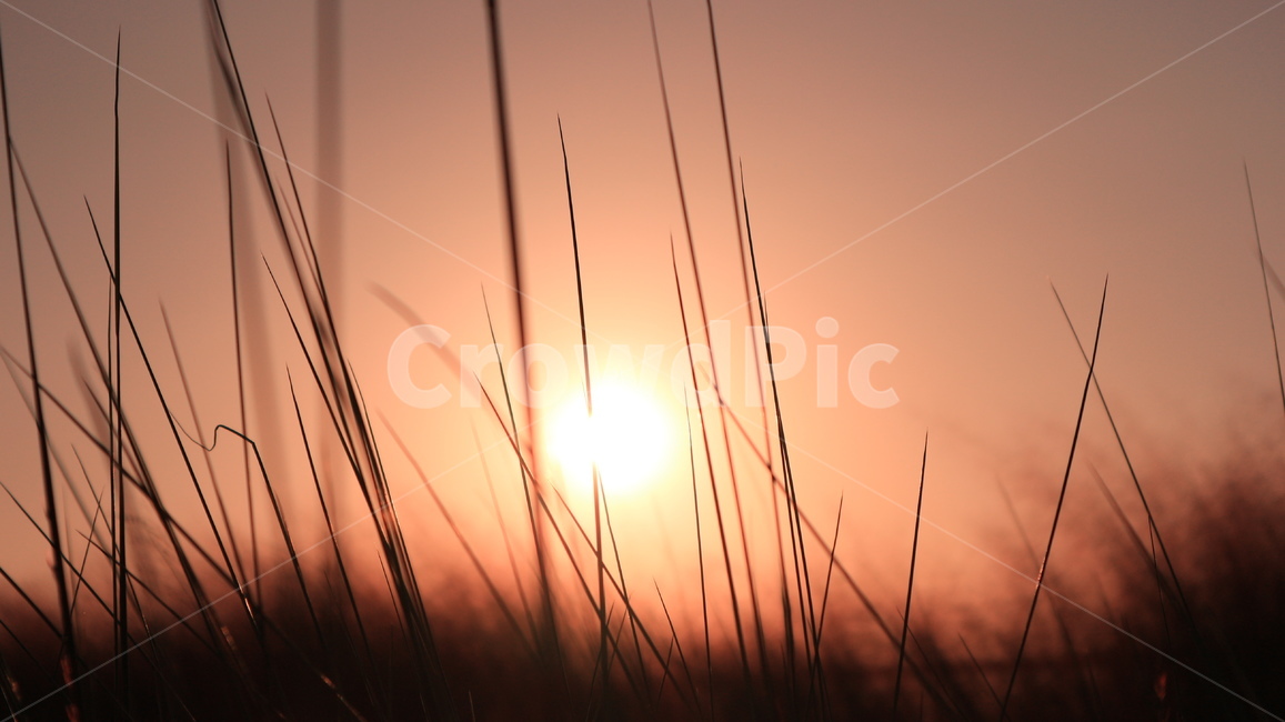 저녁,일몰,nature,자연,outdoors,옥외,sky,빛,light,플레어,flare,하늘