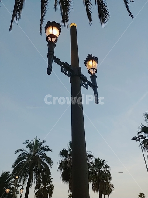 해질녘,가로등,야자수,휴양지,휴가