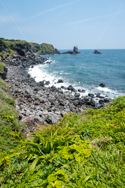 제주,제주도,성산일출봉,자연,바다,풍경,아름다운풍경,바닷가,섬,jeju,nature,풀,검은해변,검은돌,water,land,들,곶,풀잎,날씨,자연,풍경,nature,landscape,제주도,jeju,jeju island,promontory