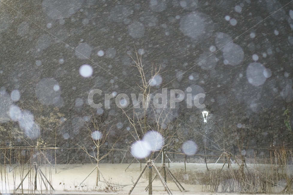 눈,야경,보케,밤,겨울,풍경,겨울,계절,winter,season,자연,풍경,nature,landscape,야경,밤,nightscape,night,outdoors,옥외,storm,폭풍,snow,blizzard,눈보라