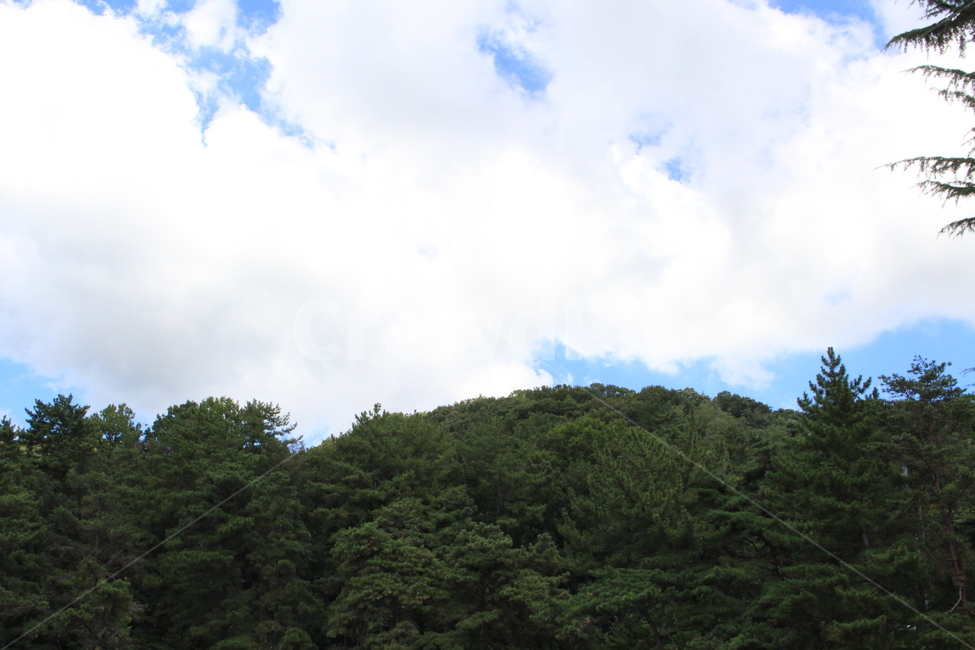 하늘,산,나무,구름,풍경