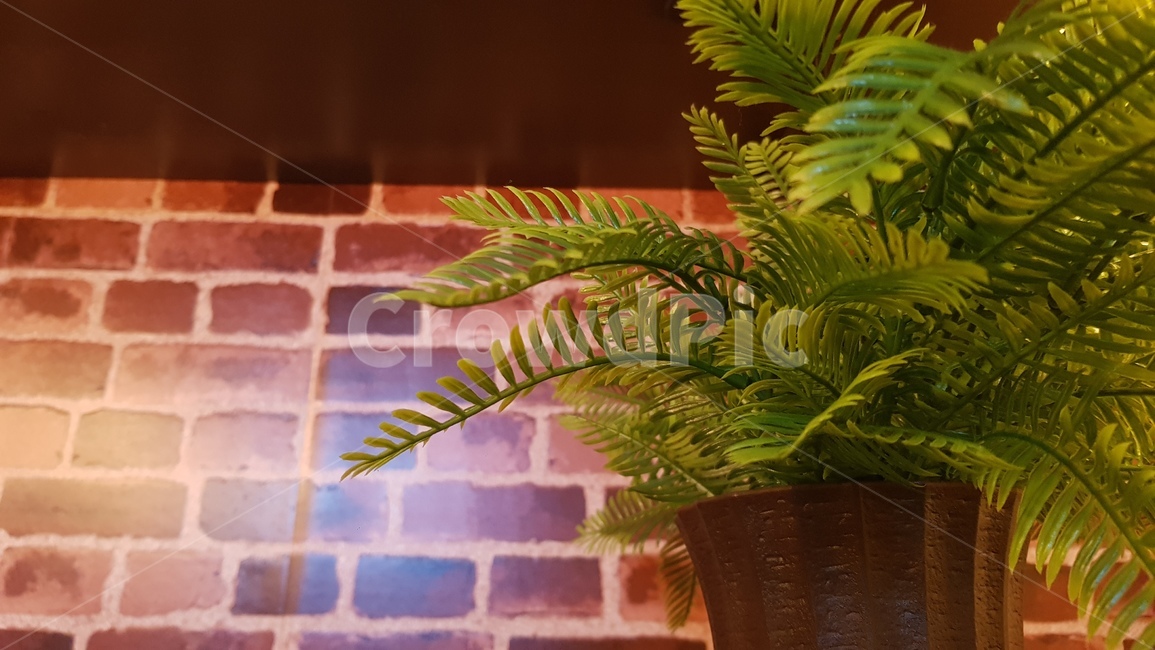 식물,벽돌,인테리어,인조식물,감성,plant,mood,브라운,화분,brick