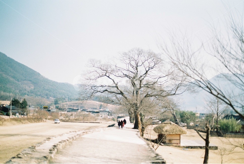 낙안읍성,민속마을,조선,초가집,필름카메라,길,road,film,순천,낙안,성곽,마을,oldtown,old