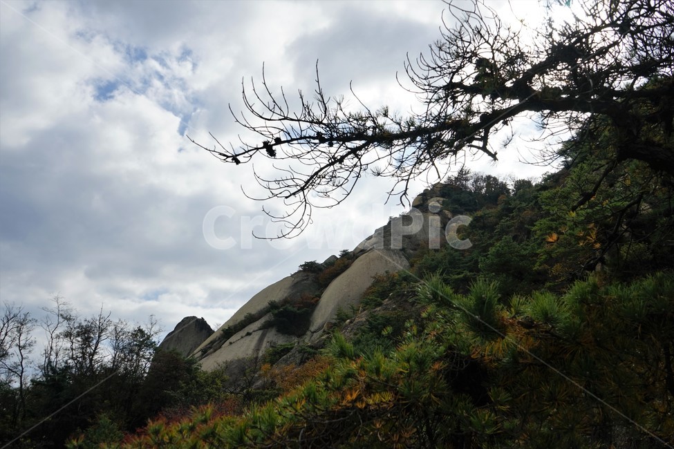 산,나무,숲,자연,녹새,하늘,파란,가을,mountain,trees,forest,granite,자연,풍경,nature,landscape,slope,경사,outdoors,옥외
