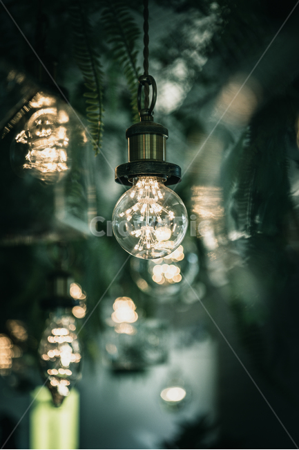 light,빛,lightbulb,전구,보케