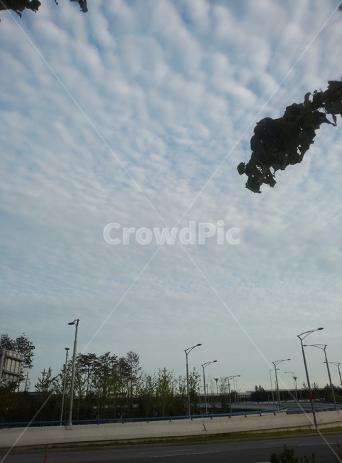 구름,권층운,하늘,김포공항,하늘색,웅장,도로,가로등,차도,도시,풍경,city,landscape