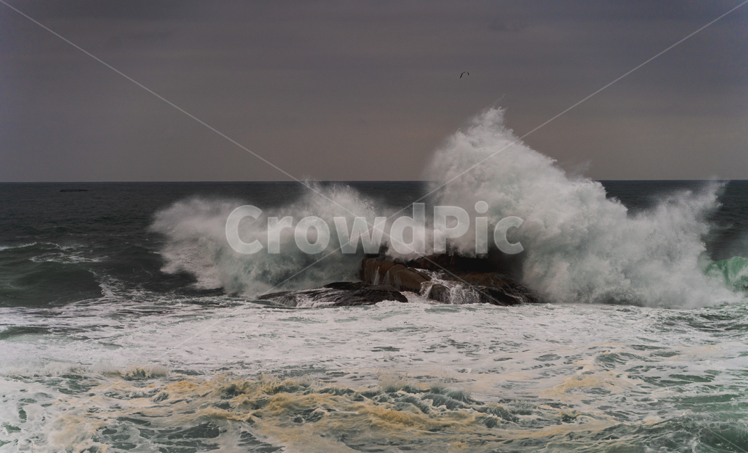 seawaves,nature,ocean,water,sea,파도,바다,자연,물