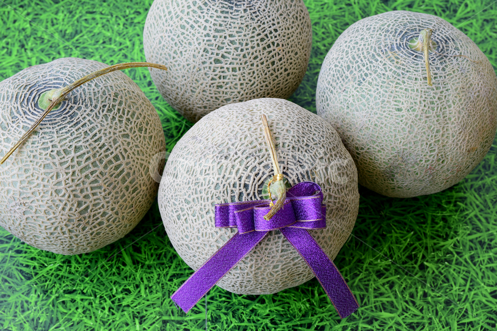 멜론,메론,과일,열대과일,식재료,리본,박과,열매,melon,fruit,food,음식,식재료,요리,food,cook,meal,dishes,food reserves,과일,열매,fruit