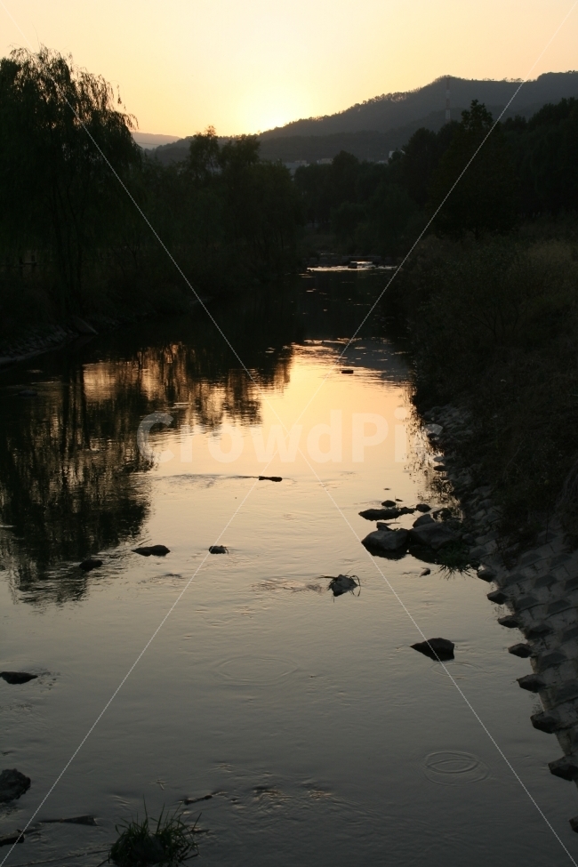 하천,냇물,양재천,오후,노을,저녁,해질녘,햇살,물가,자연,풍경,nature,landscape,ditch,도랑