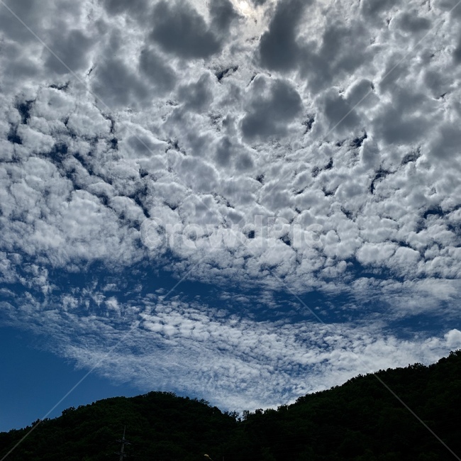 구름,하늘,조각구름,파란하늘,풍경,자연,한국