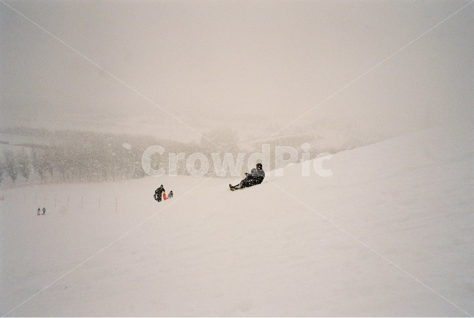 nature,자연,outdoors,snow,winter,sled,white,눈,겨울,썰매,눈썰매,하얀,흰색,화이트,겨울,계절,winter,season