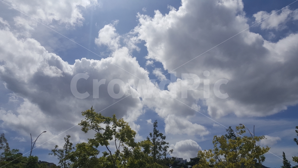 부산,하늘,구름,풍경,자연,Busan,sky,cloud,landscape,nature,자연,풍경,nature,landscape