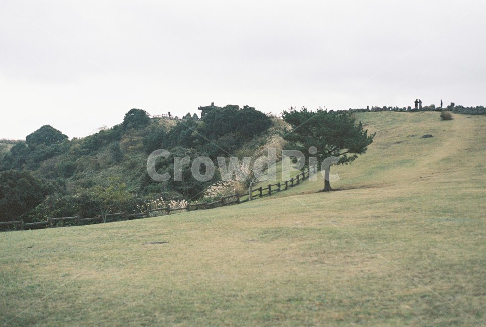 grassland,목초지,field,들,옥외,outdoors,제주,jeju,자연,풍경,nature,landscape