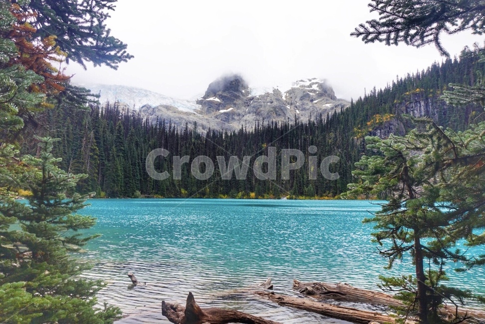 캐나다,밴쿠버,조프리레이크,호수,에메랄드,나무,자연,joffrelake,자연,풍경,nature,landscape,wood,water,물,outdoors,옥외,tree,plant,식물