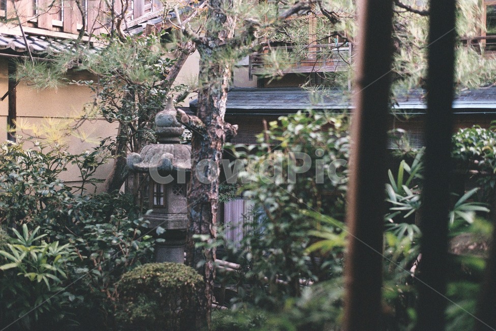 정원,garden,일본식정원,japanesegarden,석등,stonelantern,나무,tree,옥외,outdoors,필름,film