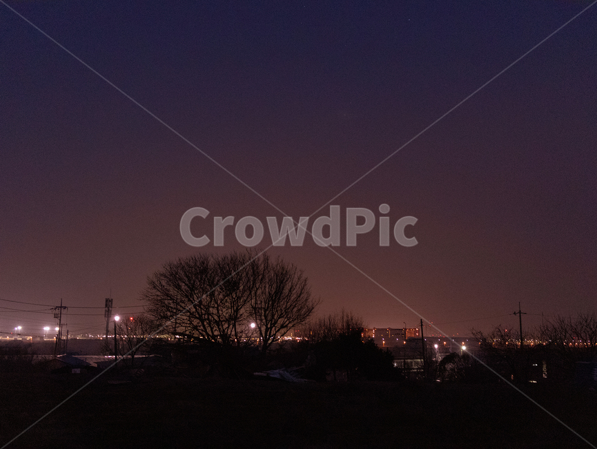 nature,자연,outdoors,옥외,야경,밤,나무,불빛,야경,밤,풍경,nightscape,night,landscape