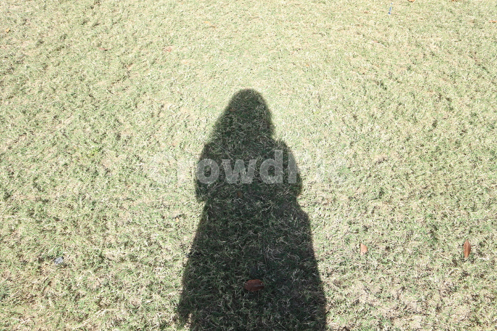 실루엣,그림자,들판,풀밭,자연,햇살,풀,silhouette,field,shadow,grass,사람,인물,인간,human,person,여성,여자,woman,female,lady,인물실루엣,사람실루엣,character silhouette,human silhouette